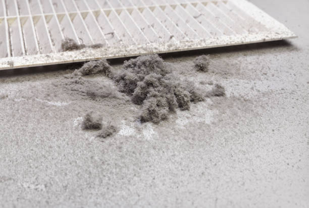 Best Affordable HVAC Duct Cleaning  in Hortonville, WI